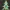 0 Number - Christmas Tree with Baubles, Tinsels and Star
