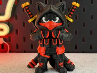 Ninja Cat