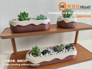 Honeypot and fleshy flower pot 蜜罐多肉花盆