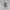 Crazy Spooky Skeleton Figurine