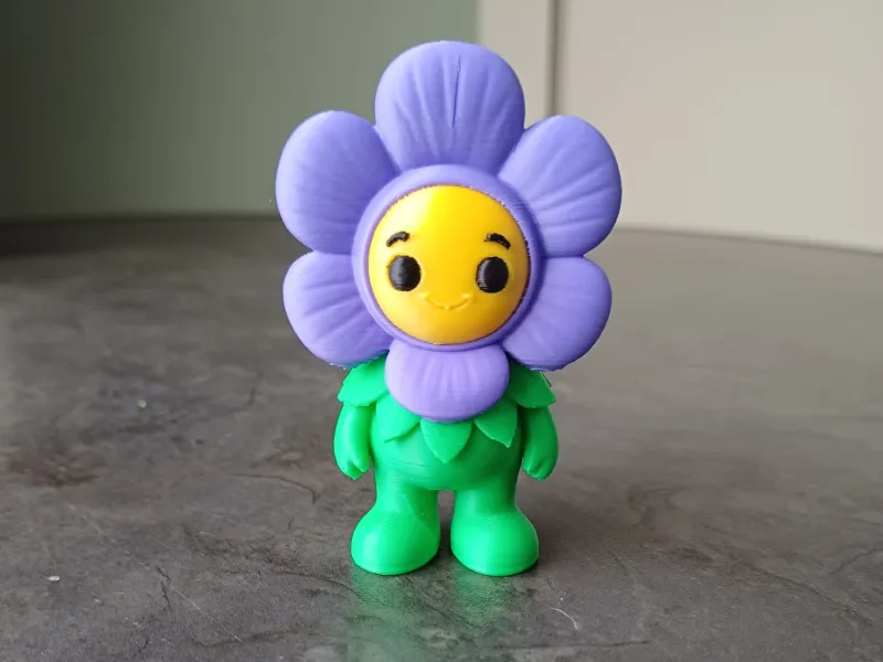 Amigo Flor Roxa
