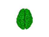 Brain scan-0
