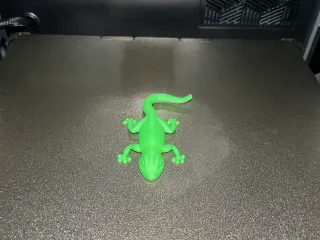 Gecko Fridge Magnet