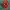 Spider-man head Clicker