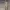 Jesus Crucifix