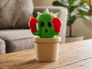 Boxing cactus