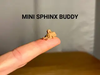Mini Sphinx Buddy
