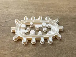 Cortante de Galleta Bacteria