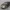 Toyota Corolla Fielder 2006