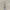 死神