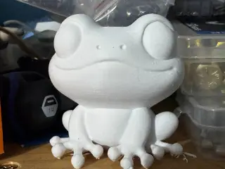 Sir Frog the Frog