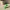 articulated minecraft creeper