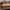 Eclair