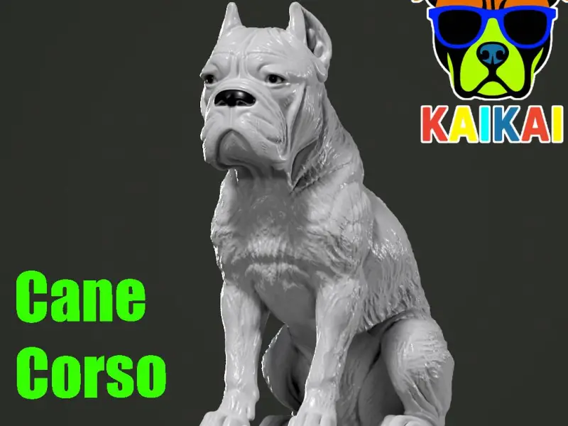 Cane Corso - English Mastiff model - 3D print