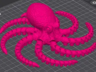 Octopus 2.0
