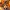 Halloween Kabouter met Pompoen – Schattige Heks Kabouter