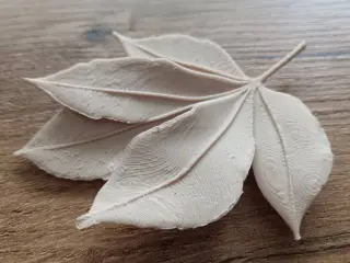 Leaf