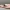 Mini T-Rex Schattig Figuur – Hoog Detail