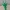 Leshen / Leszy bookmark