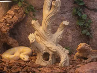 Twisted Driftwood Decor Hide for Cage or Tank