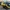 OpenRC F1 car - 1:10 RC Car