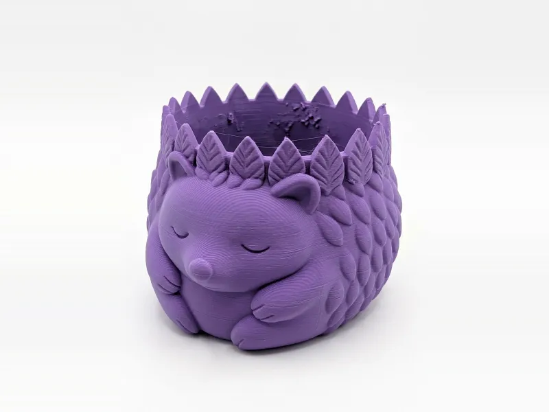 Sleepy Hedgehog Planter & Catch-All Bowl