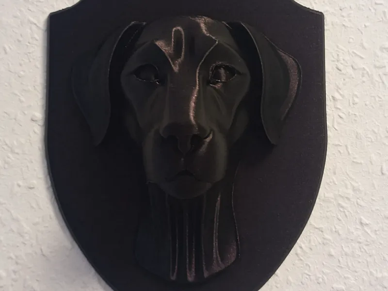Dog / Hund