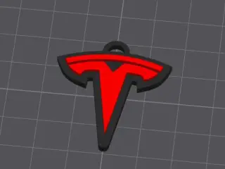 Tesla keychain
