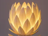Open Protea/with dowels-0