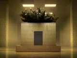 Backrooms: Level 0 Planter-0