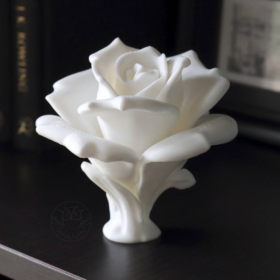 Home print settings: rose23.1_crp.3mf