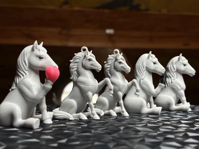Bronco Horses