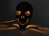 Anatomical Skull Lamp with Snap-Fit Legs-0