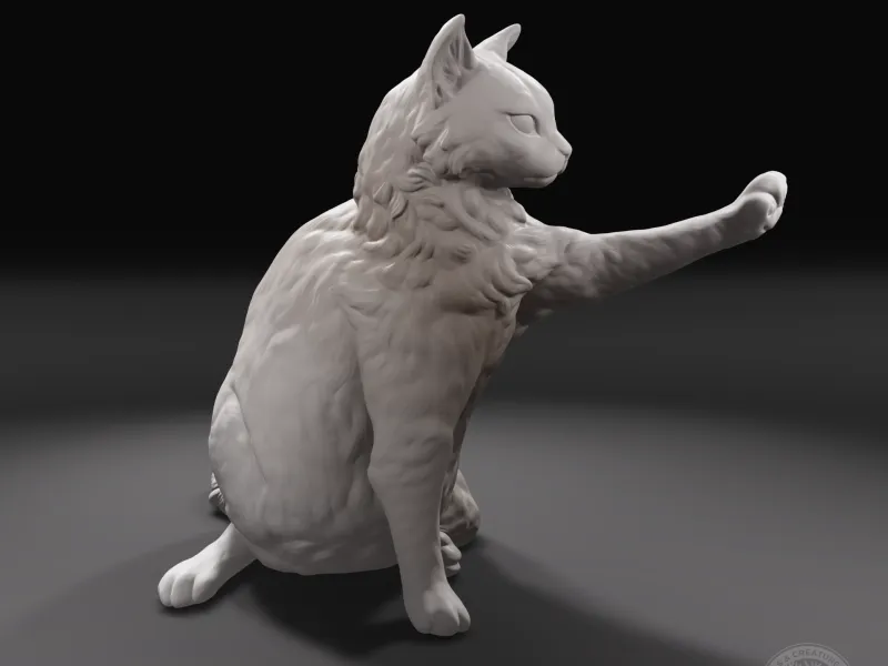 Gato Tocando com a Pata