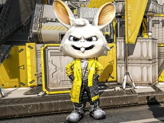 Mr Rabbit
