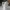 Vase fleur 3 moderne elegant