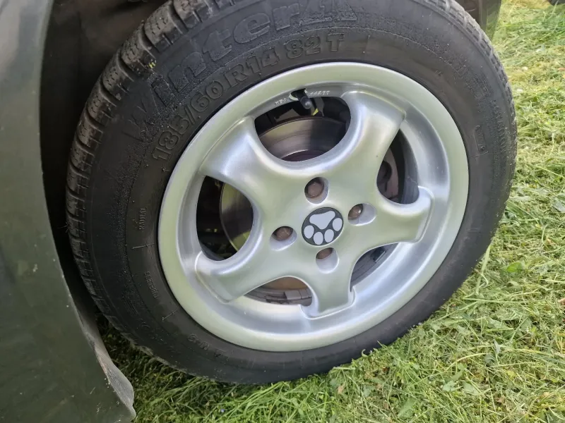 wheel cap with paw