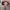 Figurine Doozie – Gabby und das magische Haus