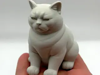Not Amused Cat