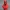 Hellboy – kolekcjonerskie popiersie figurki do druku 3D