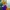 Casual Tails – Miles "Tails" Prower 🦊💜 | Multi-Part & Mult