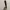 Grohe tilt for shower head (40 deg)