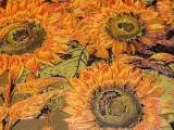 Sunflowers-0