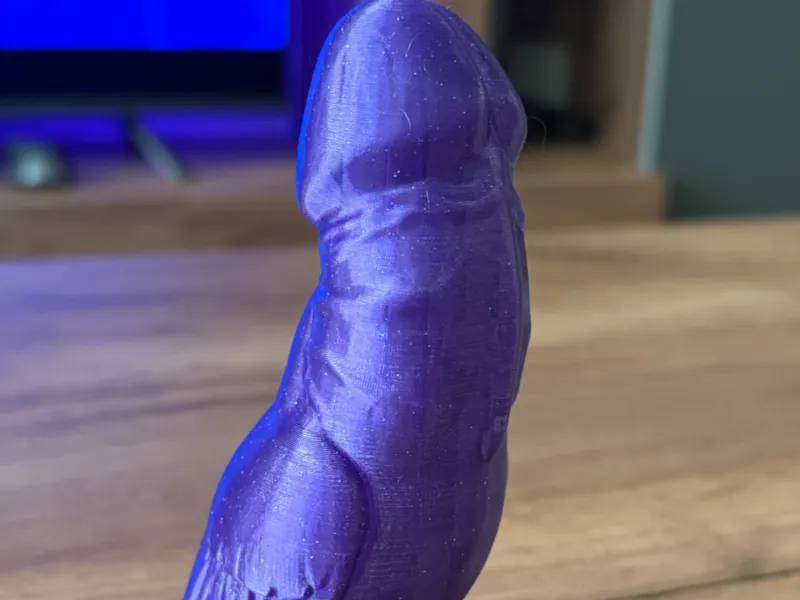 FlyDick