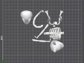 Stylized Cat Skeleton