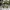 Shrek – Figura 3D