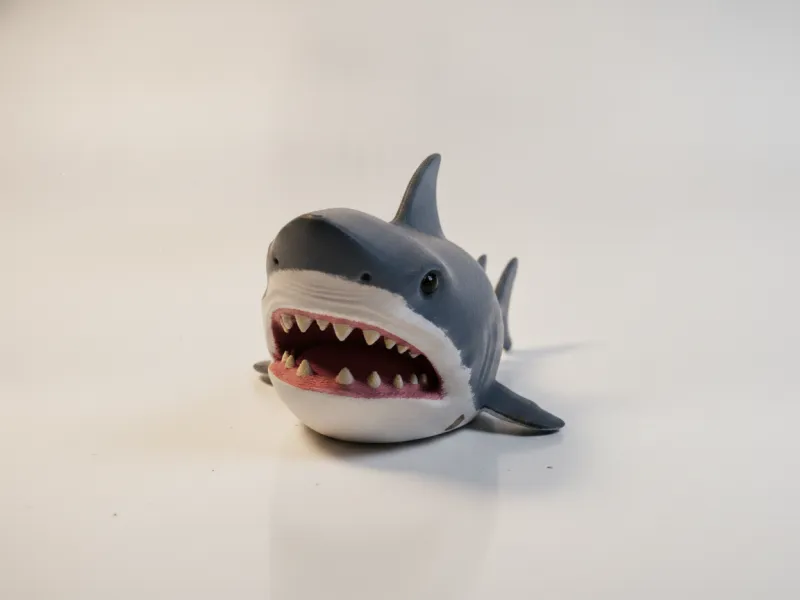 Shark