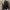 WALL SKATE SUPPORT  FIT 2X4