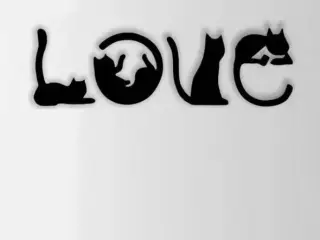 Love cats