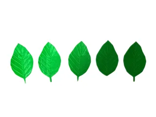 Tree-shaped organizer